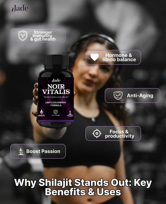 Travel Fatigue and Jet Lag: Can Shilajit Support Recovery?