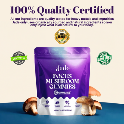Focus Mushroom Gummies